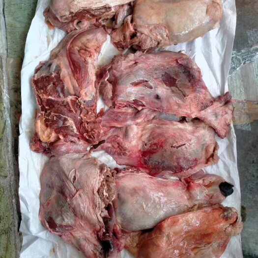 马脸肉 每天都是新鲜食材 诚信经营 质量保证