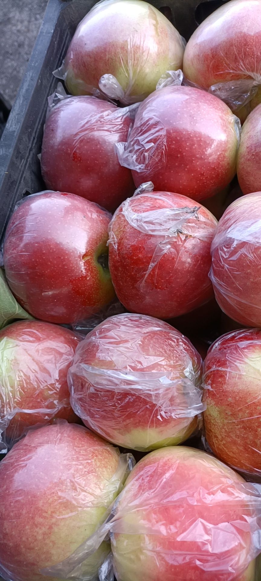 昌黎县美八苹果，个头大，颜色好，口感脆甜。保质保量。