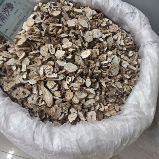 南沙參