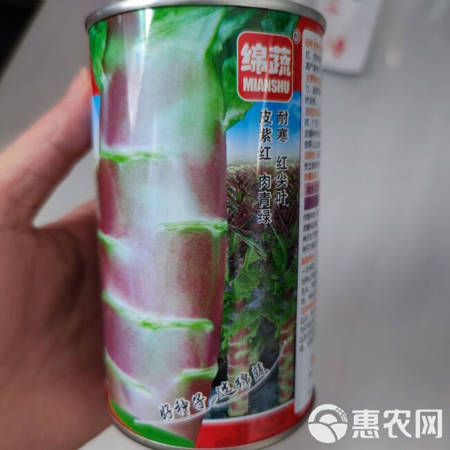 绵蔬醉红香莴笋种子皮紫红青肉红尖叶莴苣耐寒秋冬季播大田种