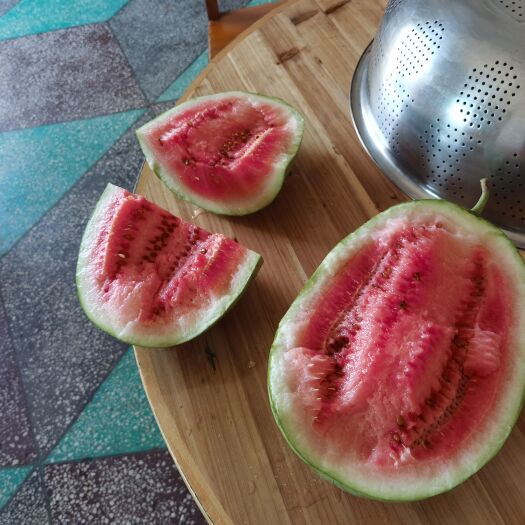茶陵县西瓜