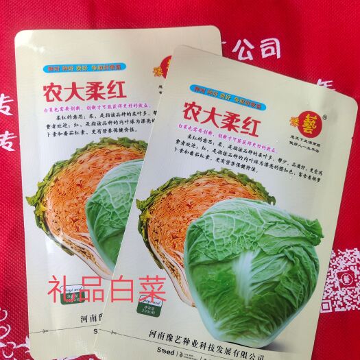 农大柔红白菜种子早熟营养价值高抗病经济效益高大包头
