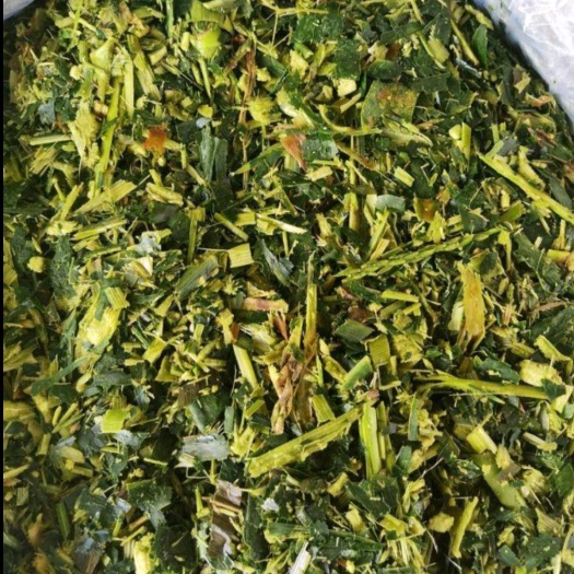 滕州市大量供应玉米秸秆  牛马饲料专用 加工厂