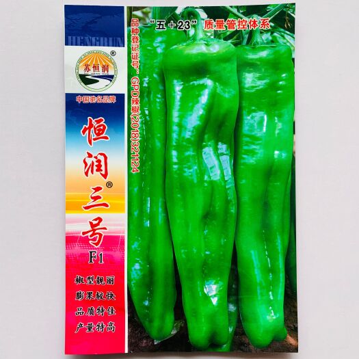 沭阳县辣椒种子恒润三号果实牛角形早熟皮略薄微辣产量特高果形靓丽辣椒