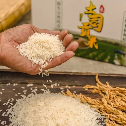 遵义养鹿台原生稻米～土司贡米，选用原生稻种，釆用传统农耕有机种植