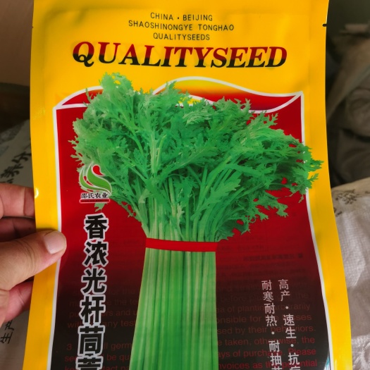 绵阳茼蒿种子春夏季香味小叶茼蒿四季蔬菜种孑农家阳台盆栽皇帝菜种籽