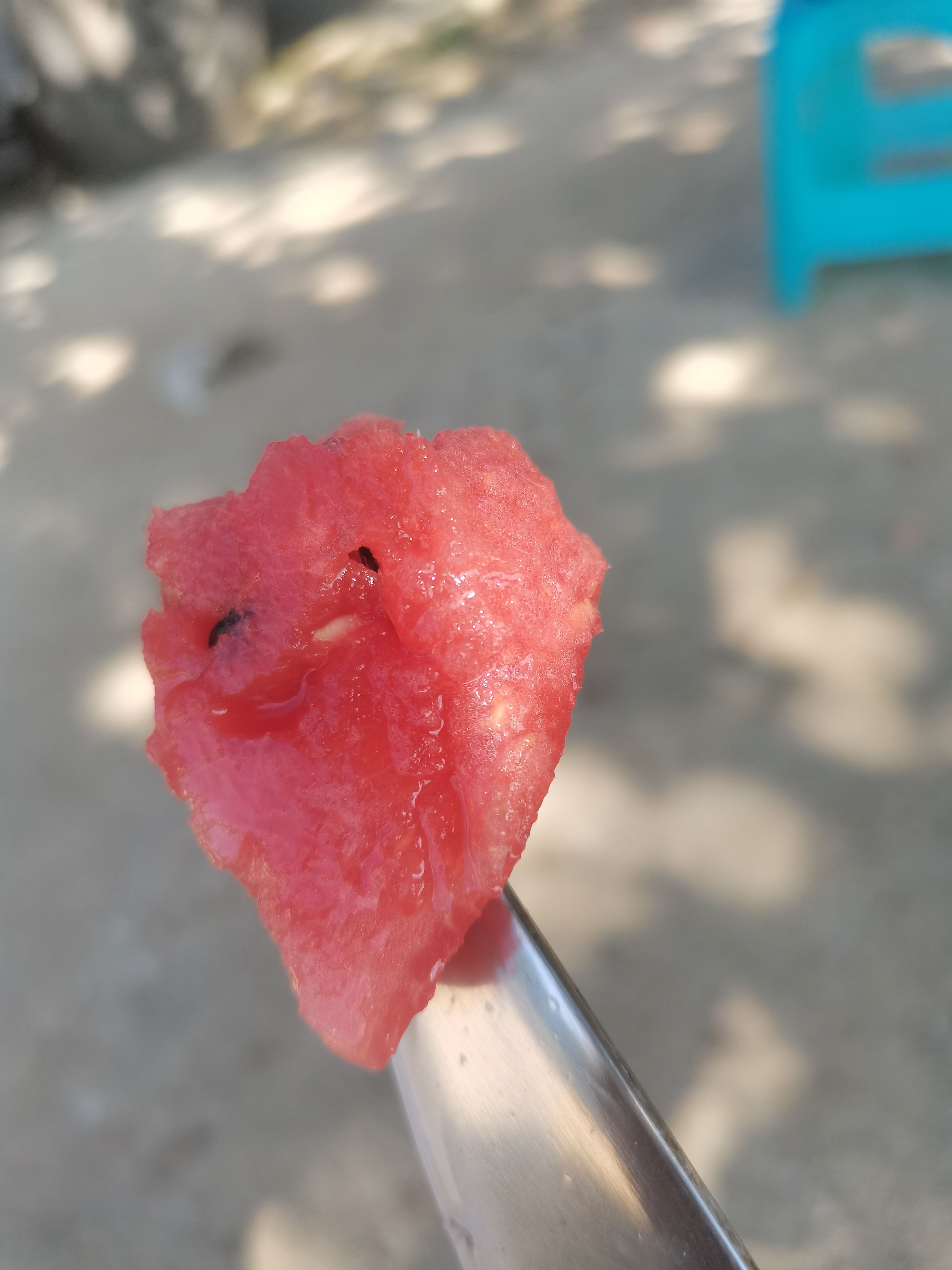 贵州高山麒麟硒砂瓜，口感优美价格美丽