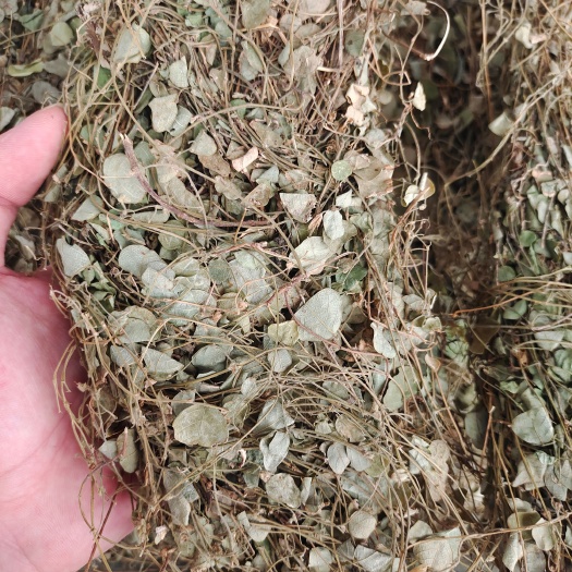 玉林化石草中药材 圆叶化石草中草药材 腰只草 肾草肝茶 批发