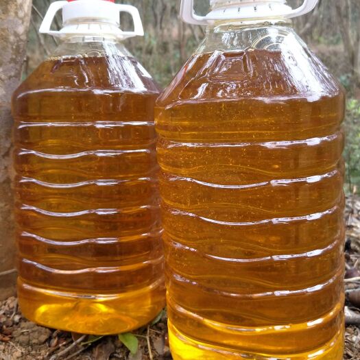 麻城市茶油补充能量、补充维生素、养颜 提炼于野生木本油科植物果实中