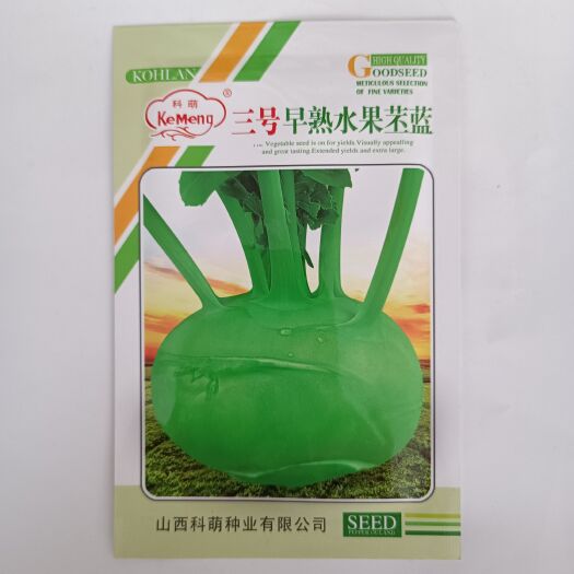 沭阳县三号早熟水果苤蓝种子球扁圆翠绿光亮肉质白色脆甜品质佳卖相好