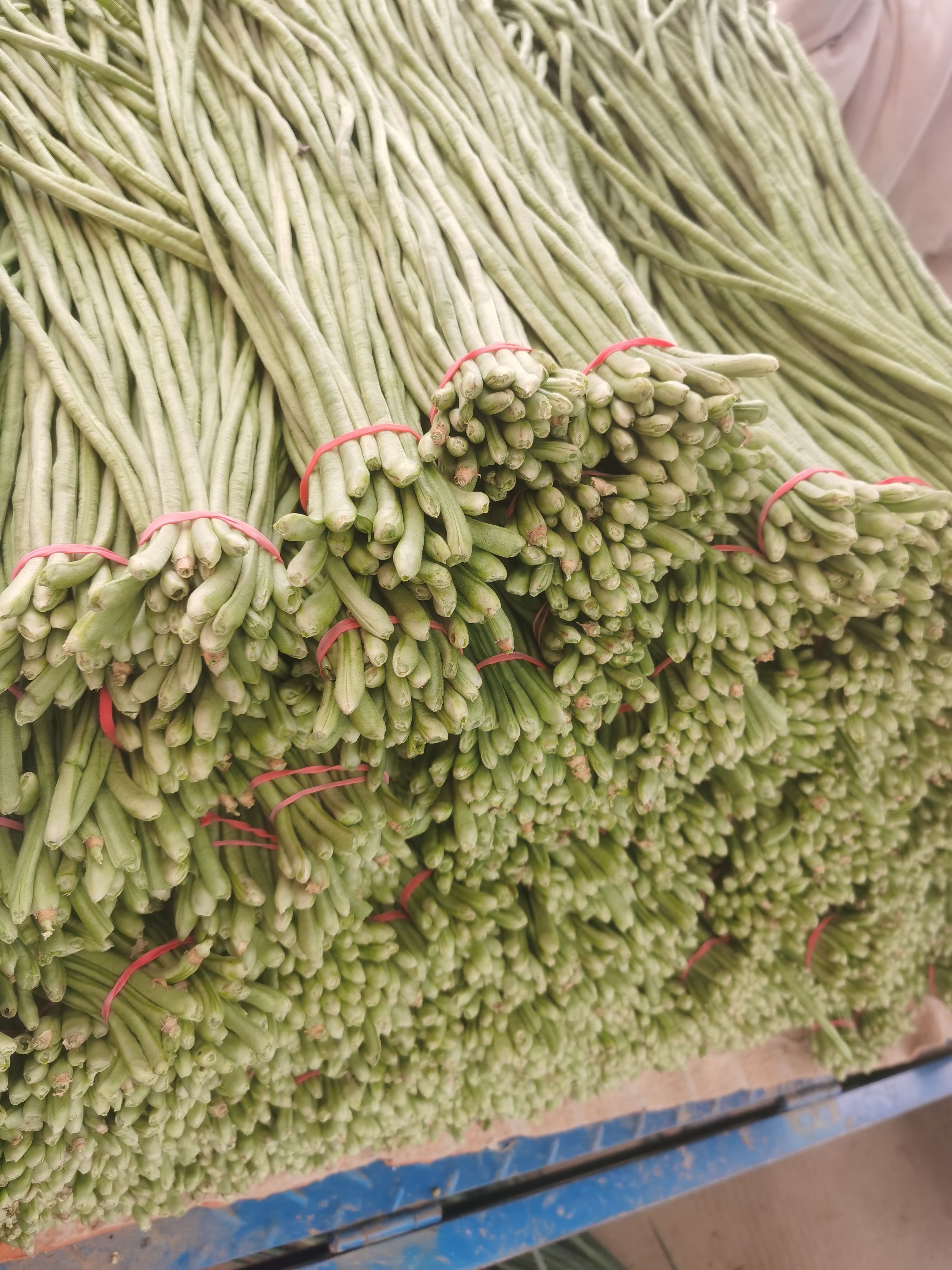 江豆，长豆角