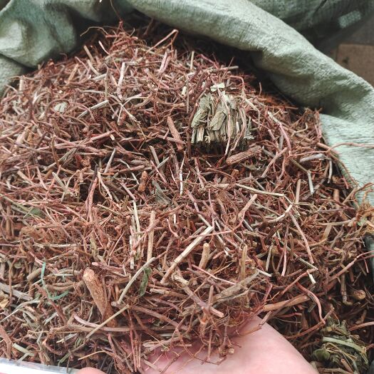玉林茜草根中草药 茜草地苏木 沙茜秧根五爪龙 满江红九龙根