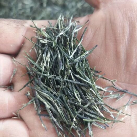 古丈县毛尖茶