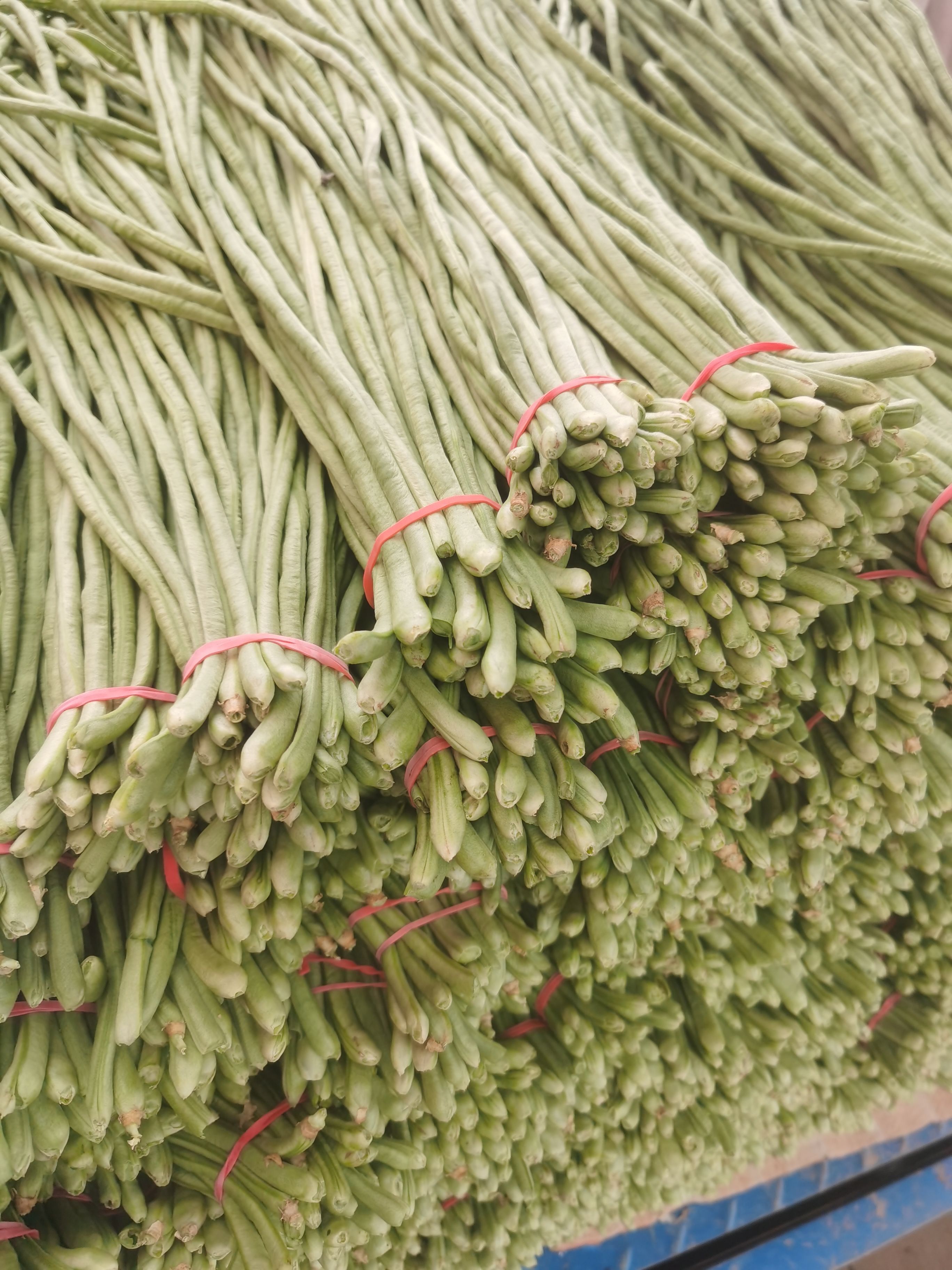 江豆，长豆角