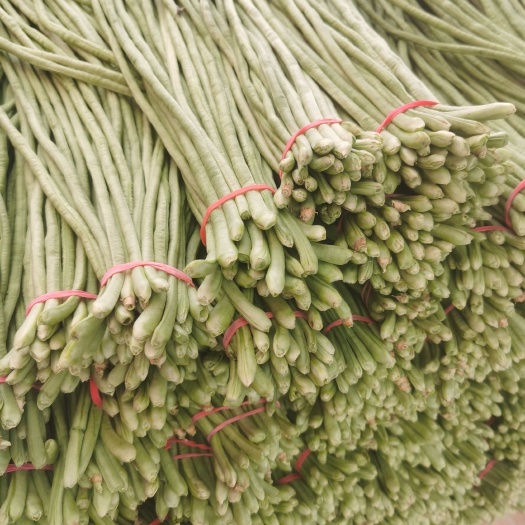 江豆，长豆角