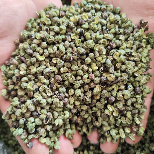 盐边县攀枝花九叶青花椒