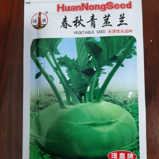 汕头春秋青苤兰