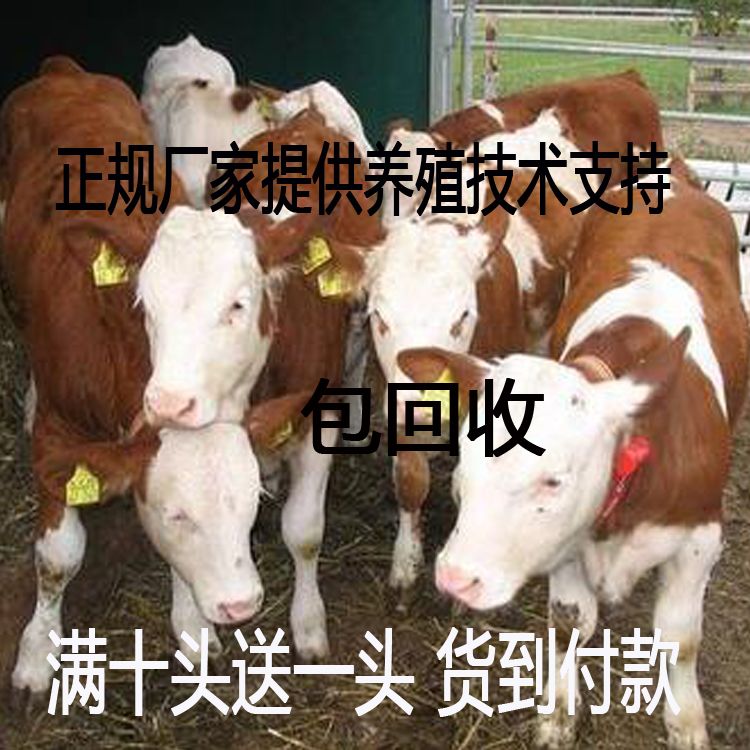 山東仁信牧業(yè)