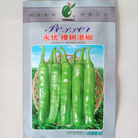 湖南特色辣椒种子永优樟树港辣椒种子极早熟薄皮软皮青椒尖椒种子