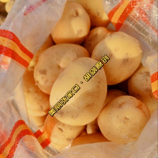 张北县张北沙土地精品土豆 出口：越南，缅甸，老挝，柬埔寨边贸土豆