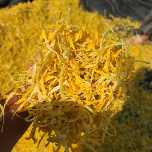 祁东县祁东金黄菜脱水菜黄花菜保鲜菜麻辣烫胡辣汤螺蛳粉凉拌菜一泡4斤
