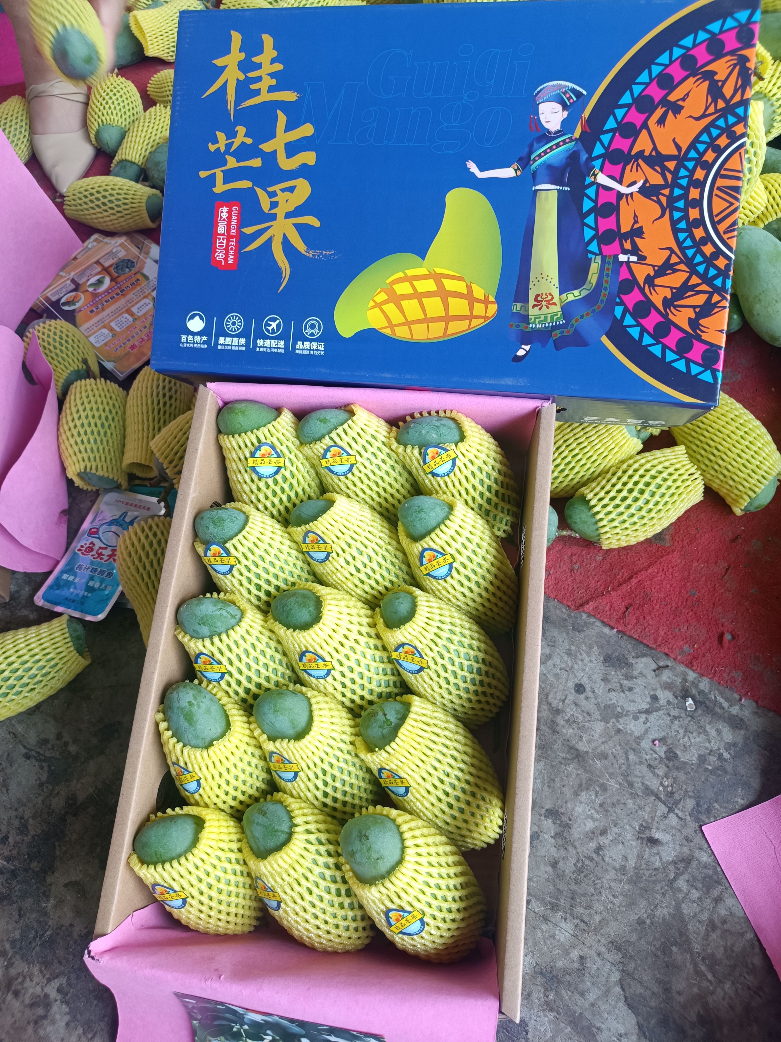 百色桂七芒