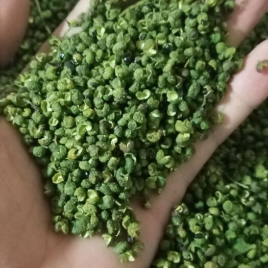 雷波县凉山州雷波县正宗青花椒