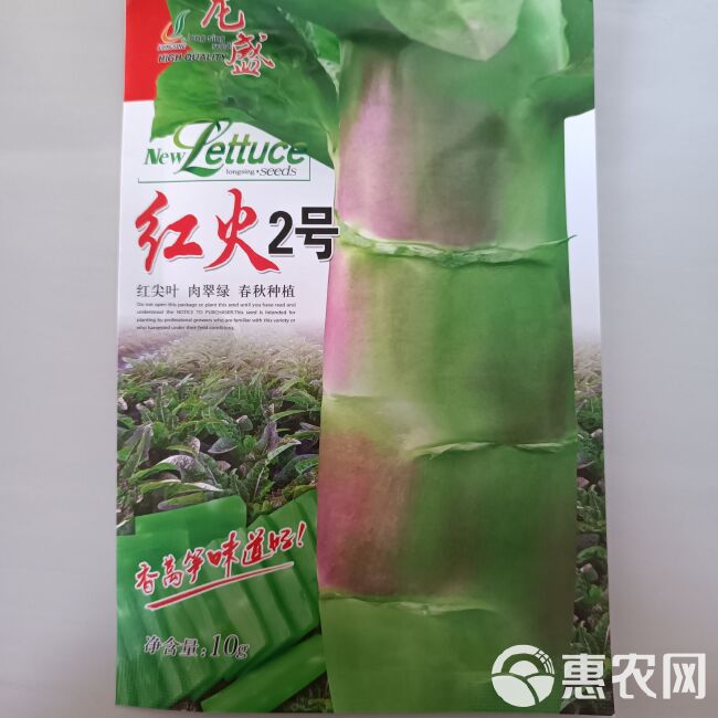 龙盛红火2号红尖叶香莴笋种子青红色耐寒抗热肉脆味香春秋蔬菜子