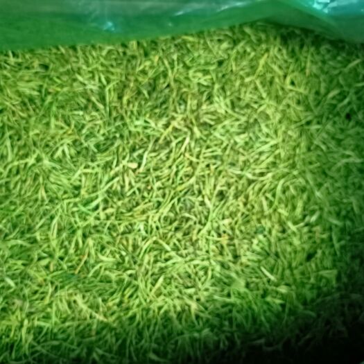 汝城县山银花