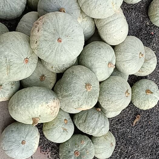 郓城县南瓜银栗南瓜薄皮南瓜甜南瓜小南瓜