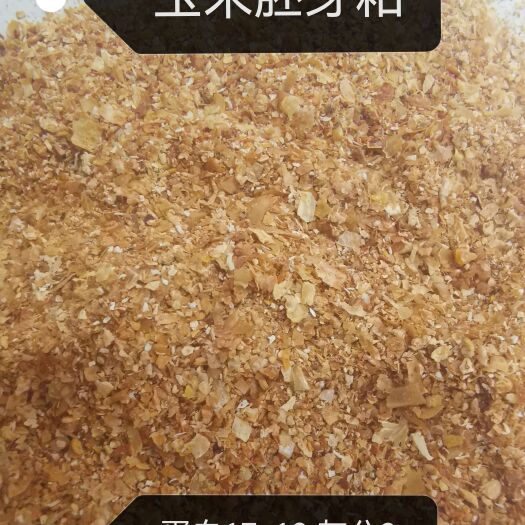 石家庄玉米胚芽粕