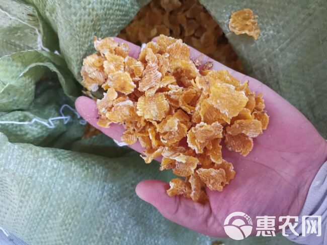 玉米压片