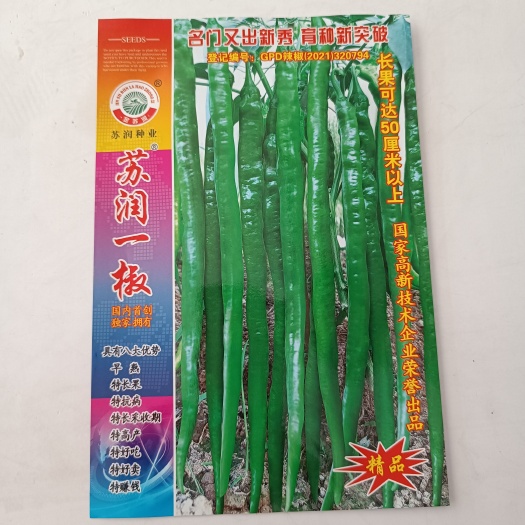 沭阳县辣椒种子苏润一椒早熟绿色长果线椒抗病高产辣味适中口感好辣椒