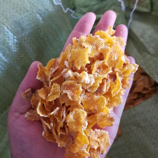 正定县玉米压片