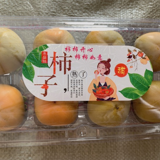 江门柿子