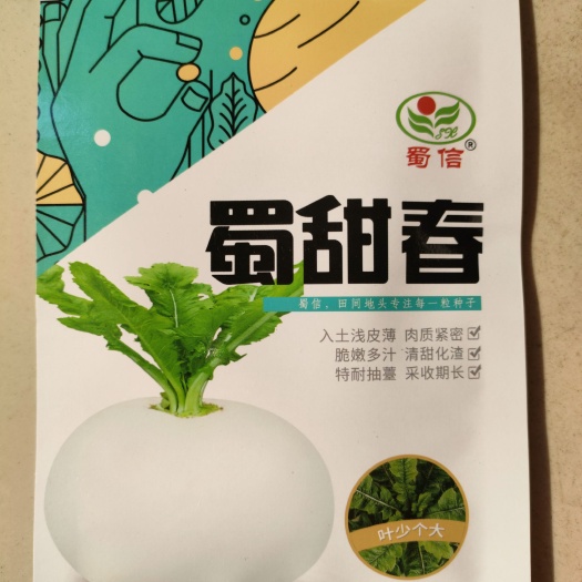 湘乡市扁圆萝卜种子 白萝卜种子 杂交皮薄肉嫩甜中晚熟产量高10克