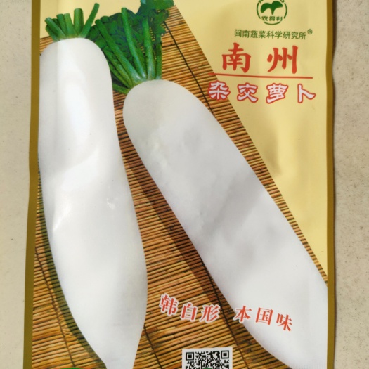 白萝卜种子 南畔洲萝卜种子 韩国萝卜种子