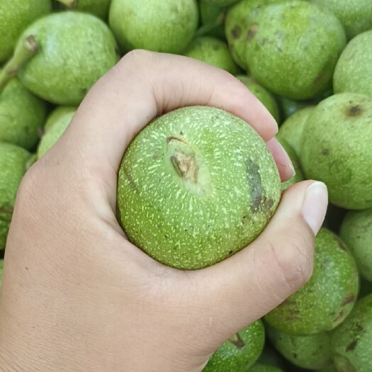 邢台大量青皮核桃出售