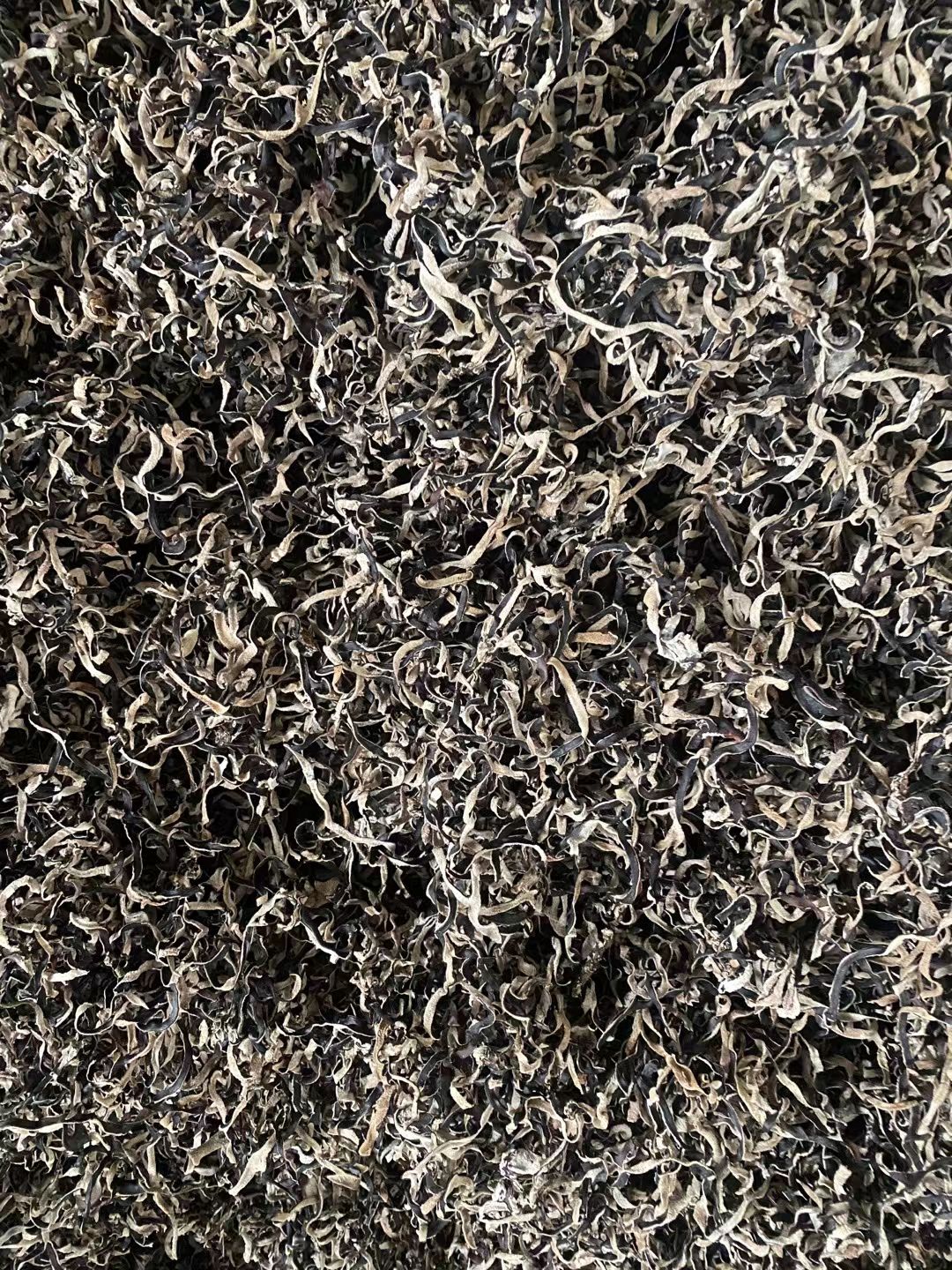 精选头茬木耳丝加工厂直发白背木耳丝整件20斤螺蛳粉商用木耳丝