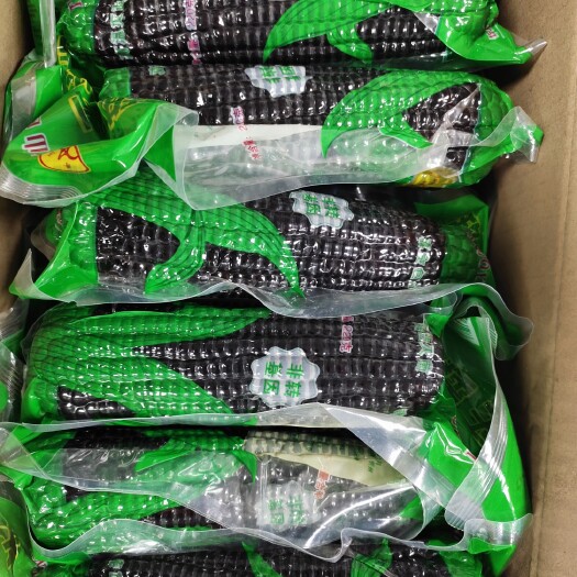 广州青玉 牌子黑糯玉米，忻州黑糯玉米大量有货
