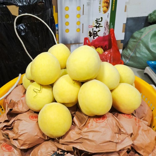 桂东县锦绣黄桃