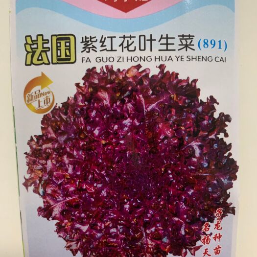邵东市紫叶生菜种子种子阳台四季盆栽紫色蔬菜孑耐热耐寒易种植蔬菜种子