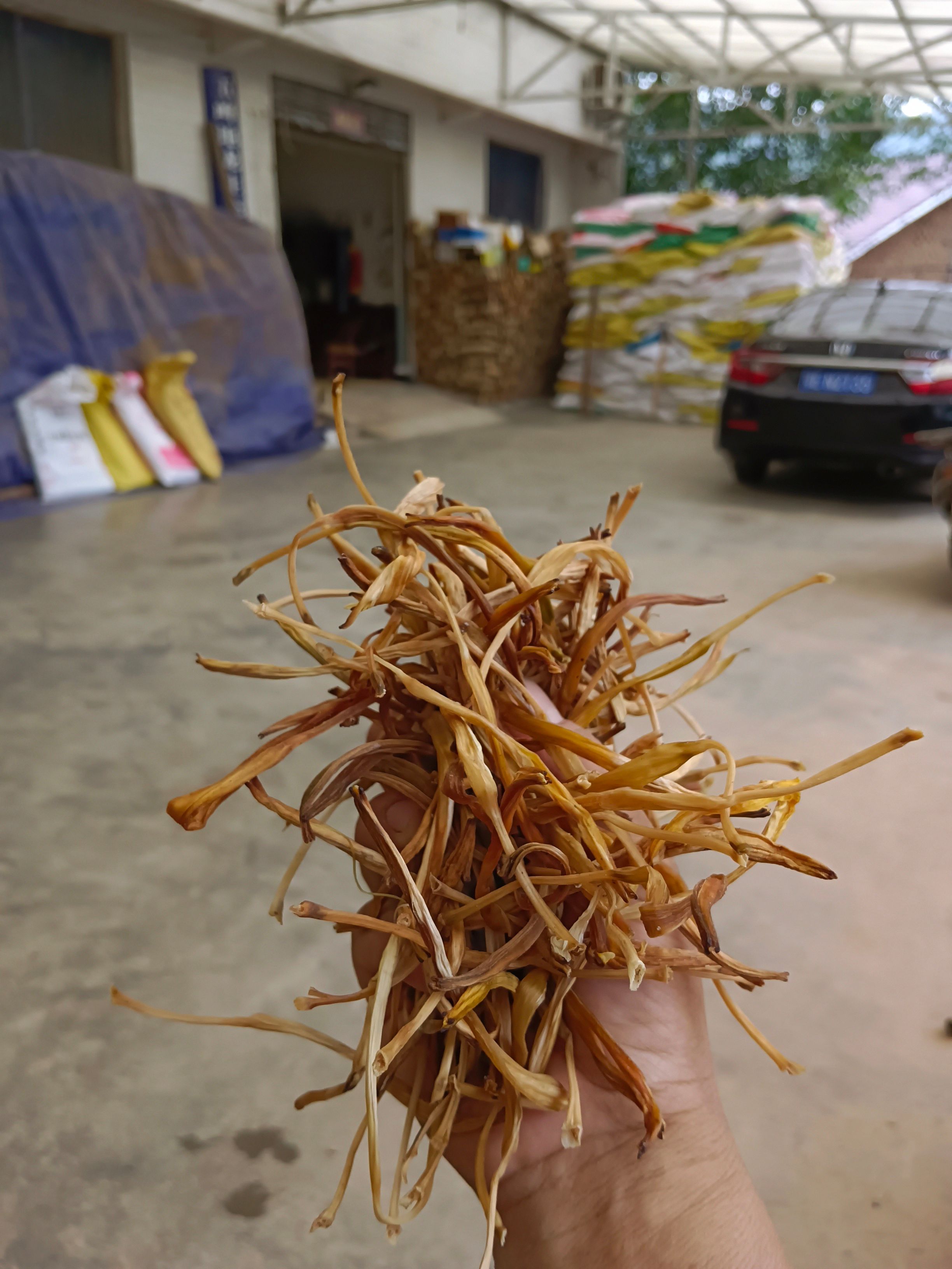 这是正宗老人家晒的黄花菜特别好吃需要联系我