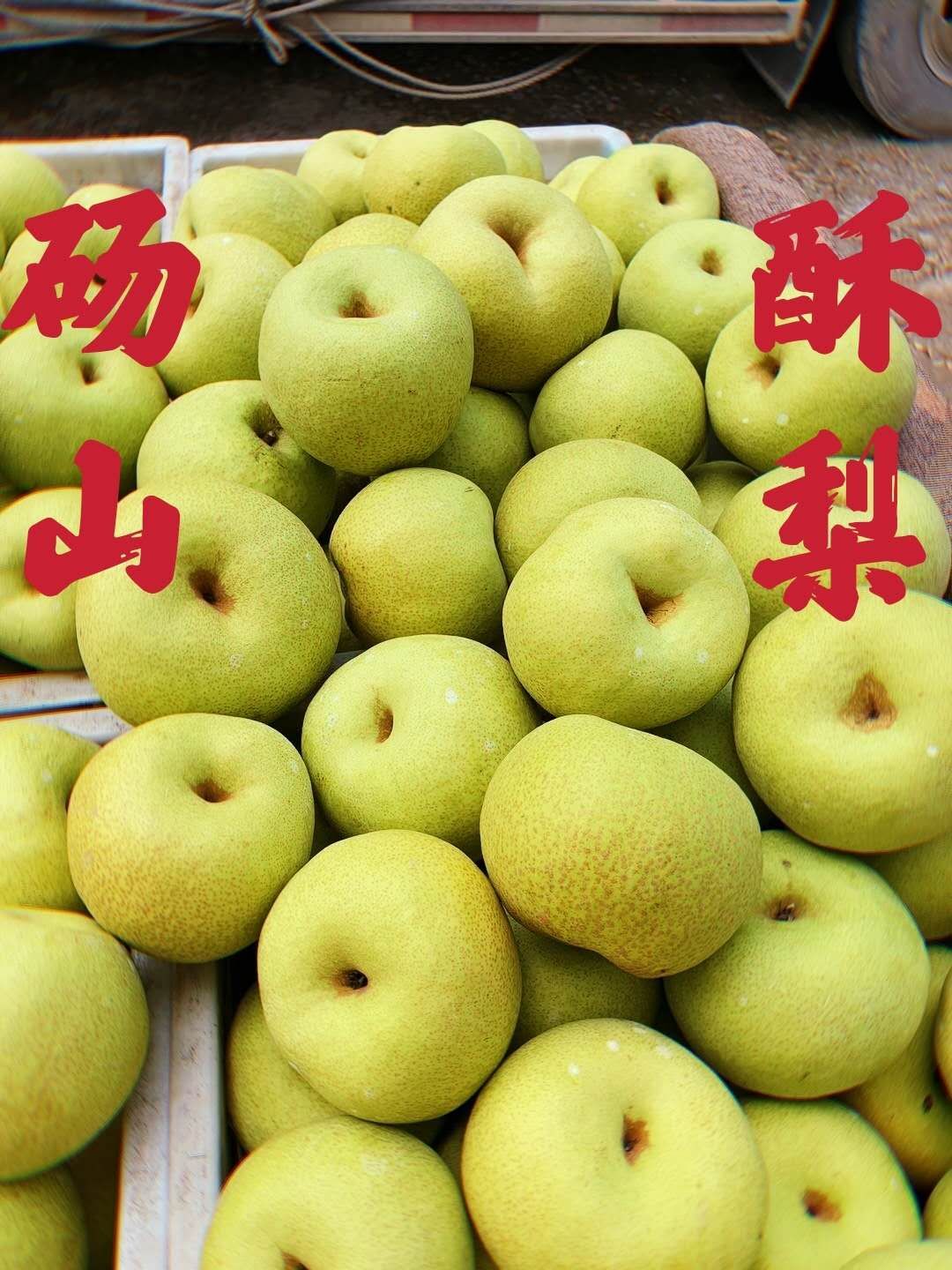 砀山昌宁水果苗木供应链