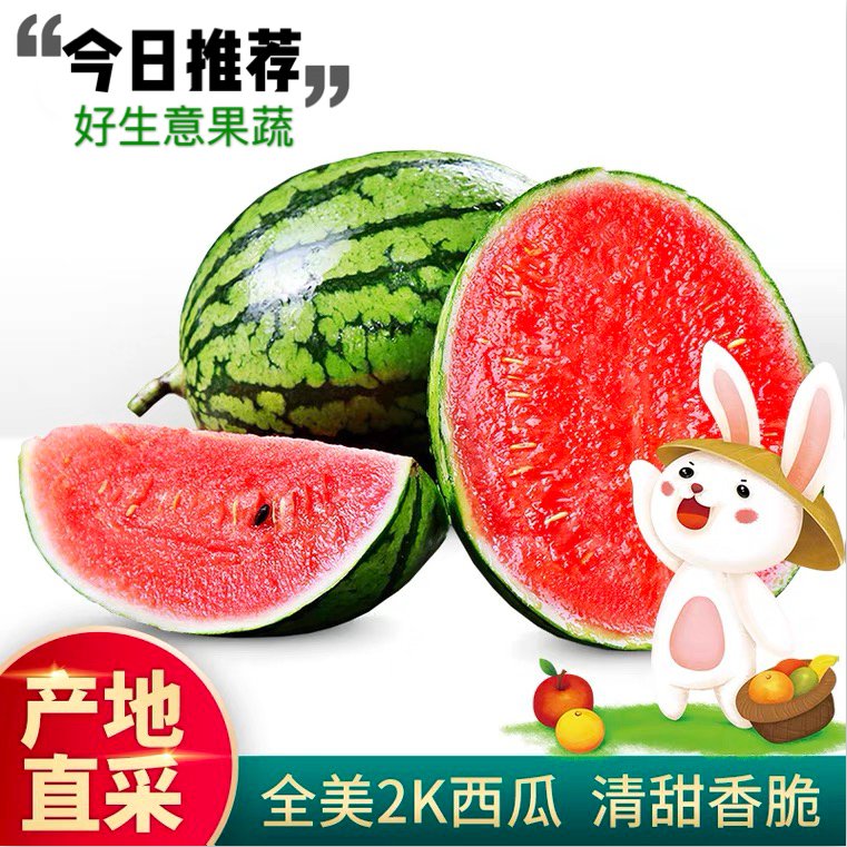 好生意果蔬購銷專業(yè)合作社