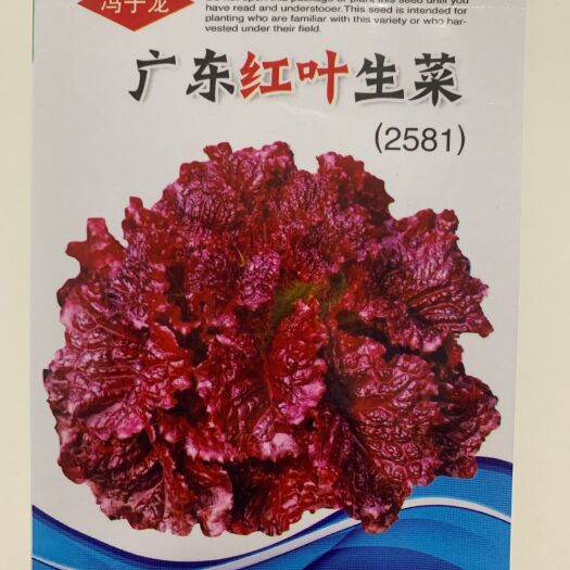 邵东市生菜种子种子红叶阳台四季盆栽紫色蔬菜孑籽种菜籽紫蔬菜种子