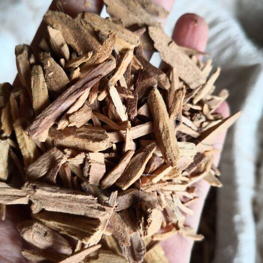 檀香 根部干货切条 含量足