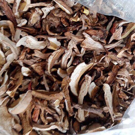 康县陇南康县野生牛肝菌 机考片 晒干片一手货源产地直销