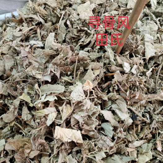 玉林中药材寻骨风叶 清骨风寻骨风 猫耳朵毛风草白面风新货自然晒干