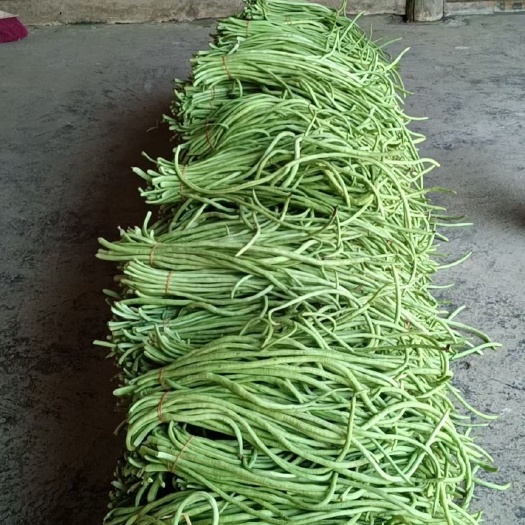 宜昌露天长豆角